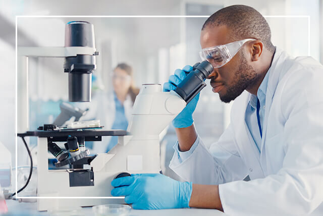 Labormitarbeiter mit weißem Kittel, Schutzbrille und blauen Einmalhandschuhen untersucht etwas in einer Petrischale durch ein Mikroskop