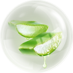 Aloe-Vera.png